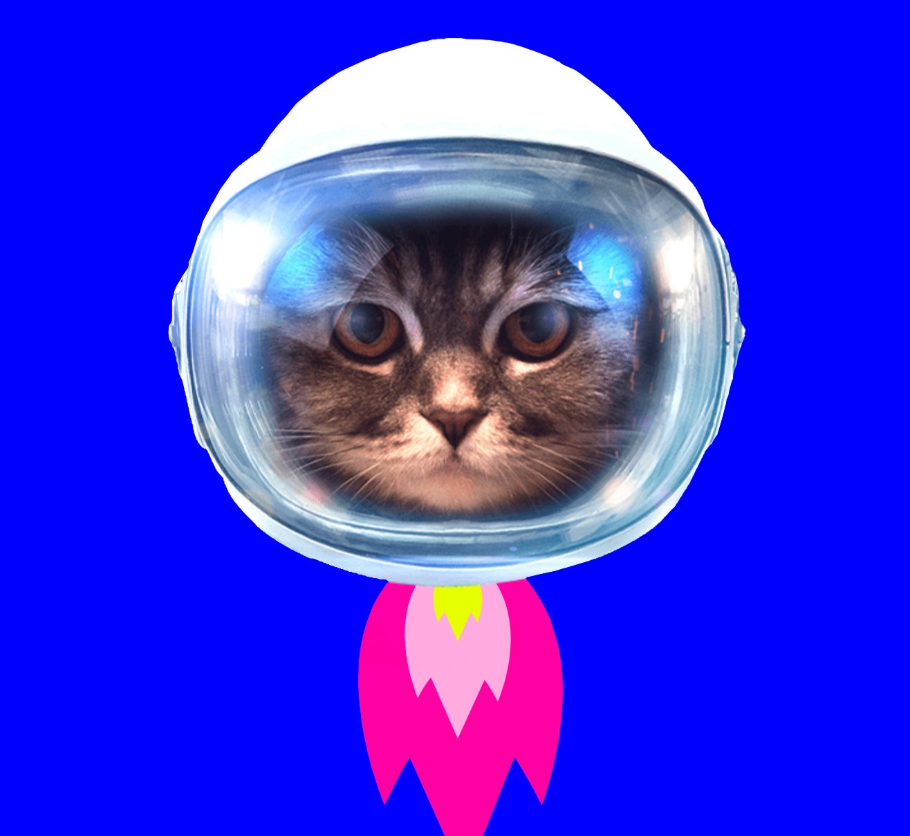 blauer Hintergrund, Katzenkopf in Astronautenhelm, aus dem pinke Flammen kommen